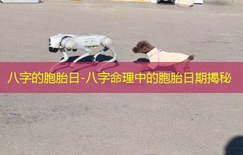  八字的胞胎日-八字命理中的胞胎日期揭秘