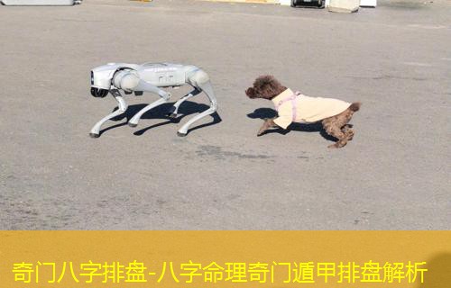  奇门八字排盘-八字命理奇门遁甲排盘解析