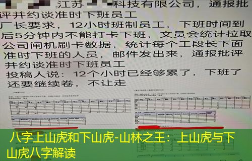  八字上山虎和下山虎-山林之王：上山虎与下山虎八字解读