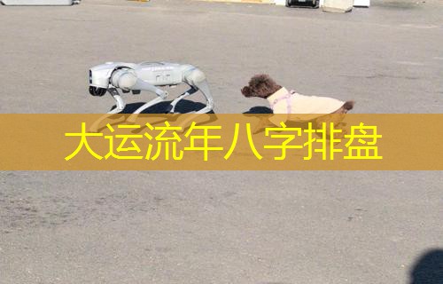  大运流年八字排盘