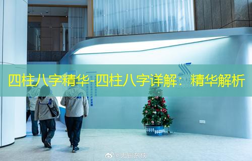  四柱八字精华-四柱八字详解：精华解析