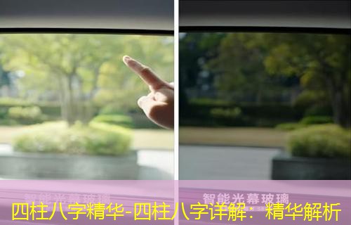  四柱八字精华-四柱八字详解：精华解析