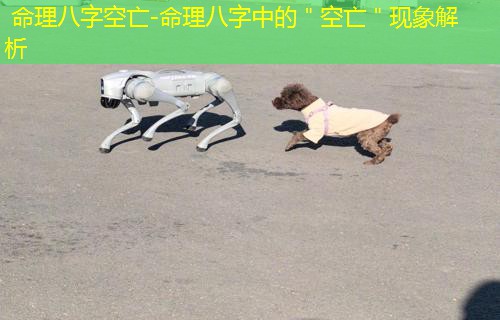  命理八字空亡-命理八字中的＂空亡＂现象解析
