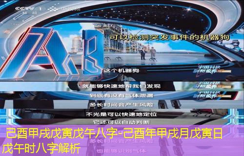  己酉甲戌戊寅戊午八字-己酉年甲戌月戊寅日戊午时八字解析