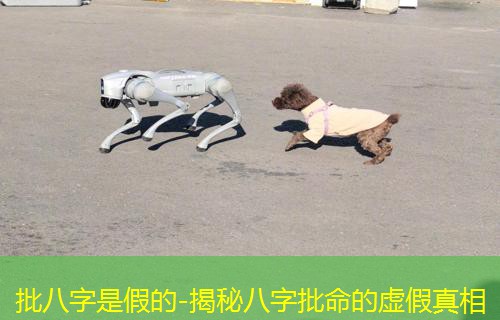  批八字是假的-揭秘八字批命的虚假真相