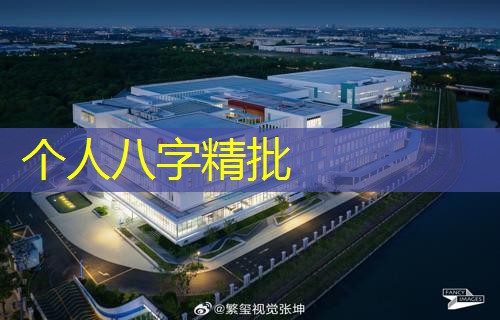  个人八字精批