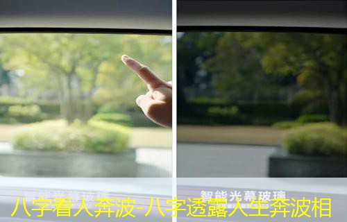  八字看人奔波-八字透露人生奔波相