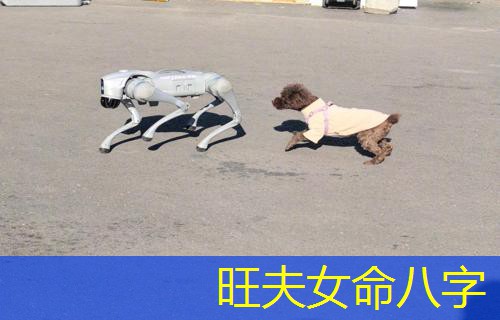  旺夫女命八字