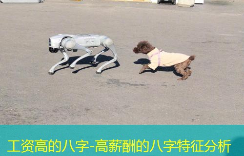  工资高的八字-高薪酬的八字特征分析