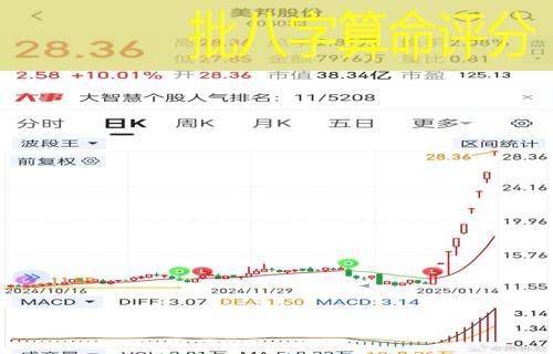  批八字算命评分