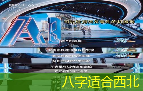  八字适合西北