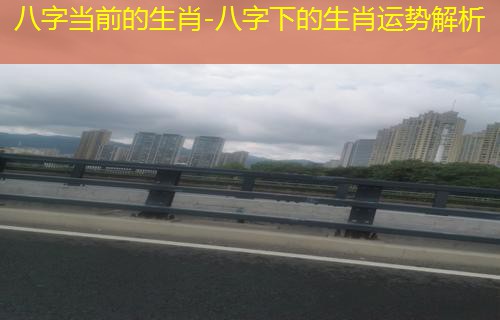  八字当前的生肖-八字下的生肖运势解析