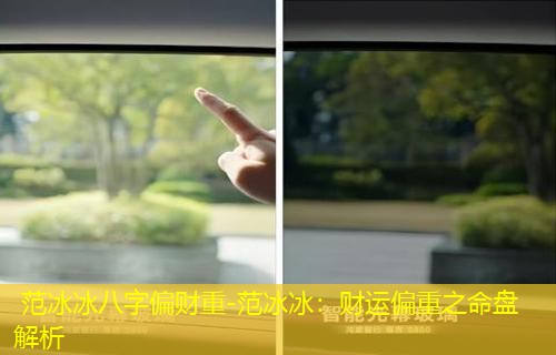  范冰冰八字偏财重-范冰冰：财运偏重之命盘解析