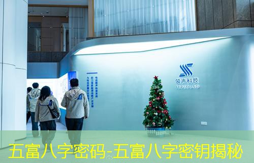  五富八字密码-五富八字密钥揭秘