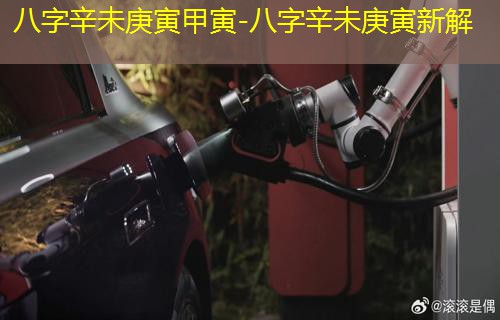  八字辛未庚寅甲寅-八字辛未庚寅新解