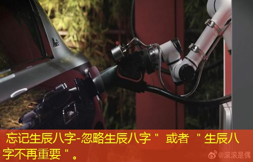  忘记生辰八字-忽略生辰八字＂ 或者 ＂生辰八字不再重要＂。