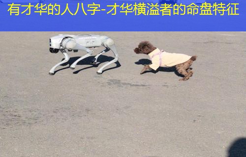  有才华的人八字-才华横溢者的命盘特征