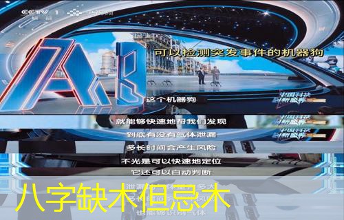  八字缺木但忌木