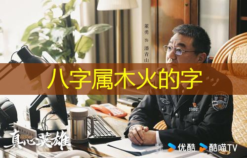  八字属木火的字