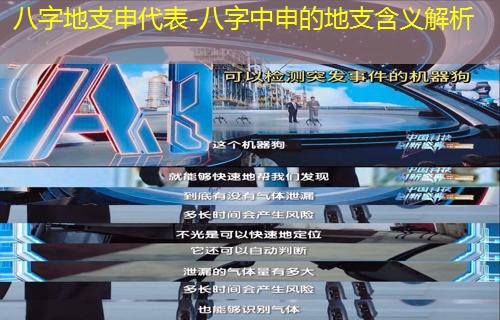  八字地支申代表-八字中申的地支含义解析