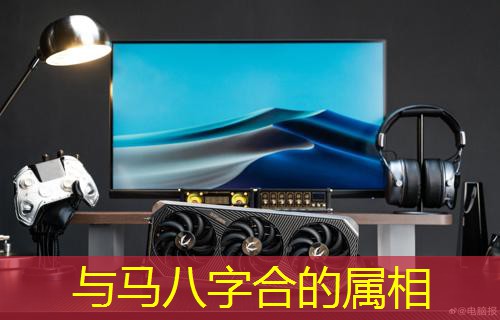  与马八字合的属相
