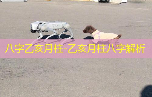  八字乙亥月柱-乙亥月柱八字解析