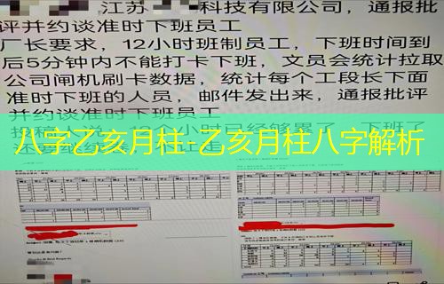  八字乙亥月柱-乙亥月柱八字解析