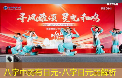  八字中弱有日元-八字日元弱解析
