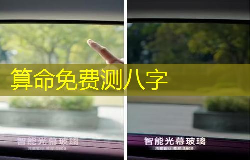  算命免费测八字