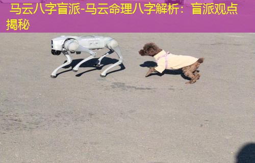  马云八字盲派-马云命理八字解析：盲派观点揭秘