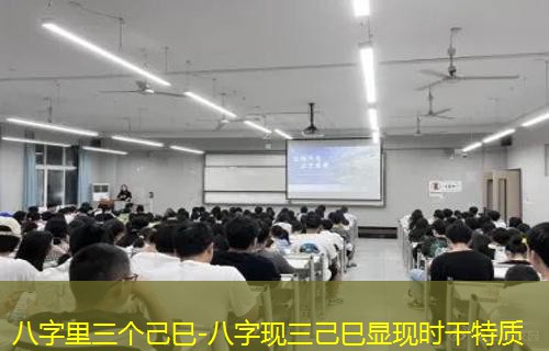  八字里三个己巳-八字现三己巳显现时干特质