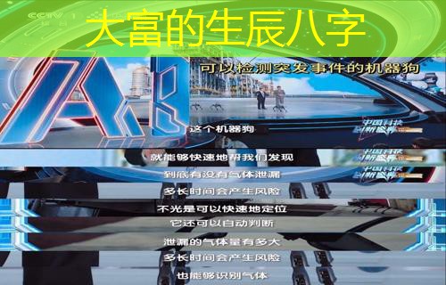  大富的生辰八字