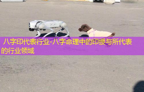  八字印代表行业-八字命理中的印绶与所代表的行业领域