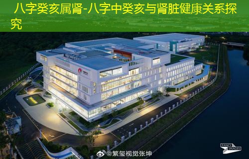  八字癸亥属肾-八字中癸亥与肾脏健康关系探究