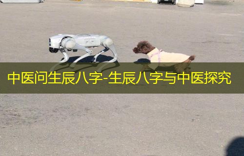  中医问生辰八字-生辰八字与中医探究