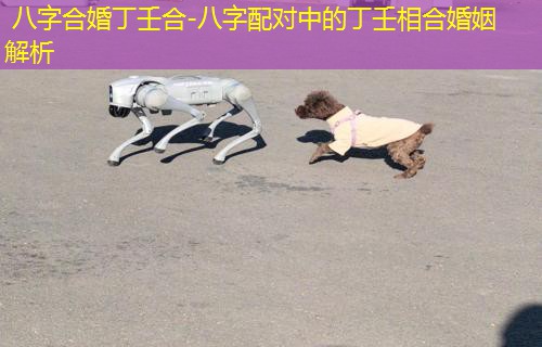  八字合婚丁壬合-八字配对中的丁壬相合婚姻解析