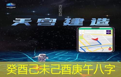  癸酉己未己酉庚午八字