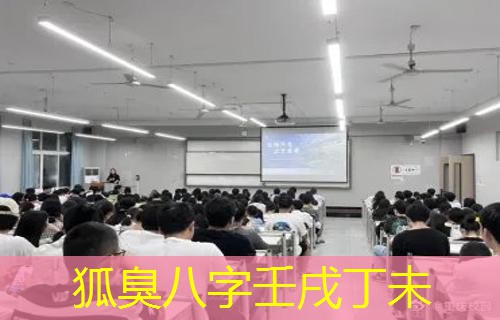  狐臭八字壬戌丁未