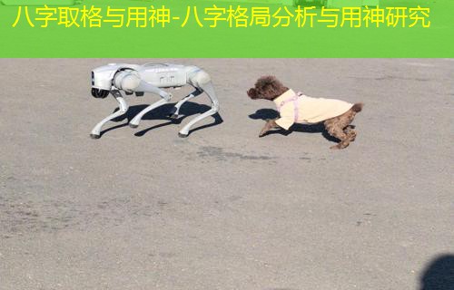  八字取格与用神-八字格局分析与用神研究