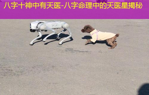  八字十神中有天医-八字命理中的天医星揭秘