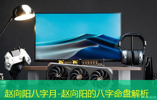  赵向阳八字月-赵向阳的八字命盘解析