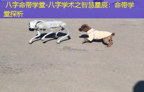  八字命带学堂-八字学术之智慧星辰：命带学堂探析