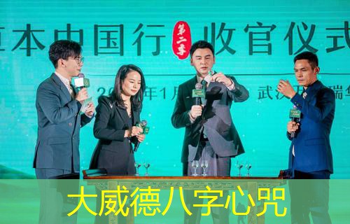  大威德八字心咒