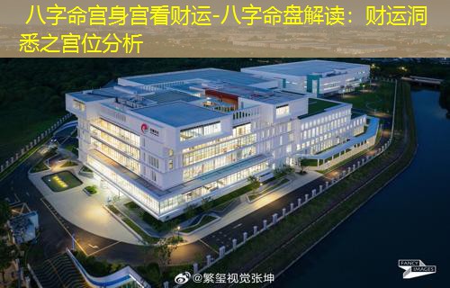  八字命宫身宫看财运-八字命盘解读：财运洞悉之宫位分析