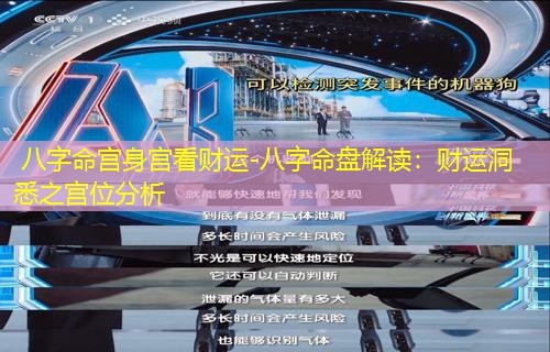  八字命宫身宫看财运-八字命盘解读：财运洞悉之宫位分析