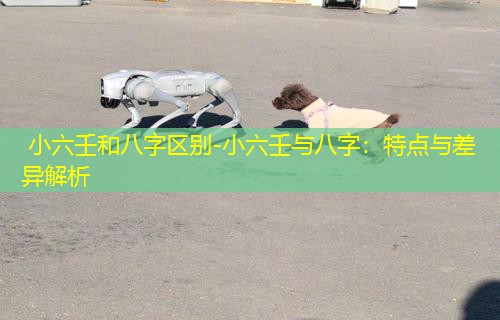  小六壬和八字区别-小六壬与八字：特点与差异解析