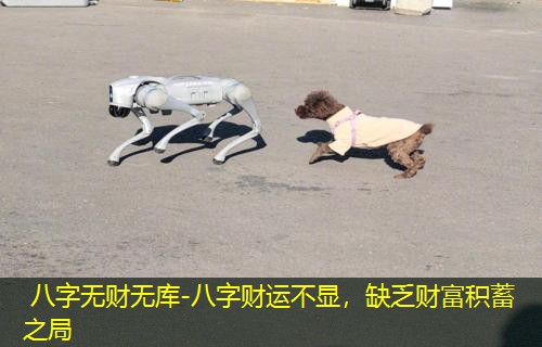  八字无财无库-八字财运不显，缺乏财富积蓄之局