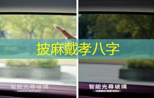  披麻戴孝八字