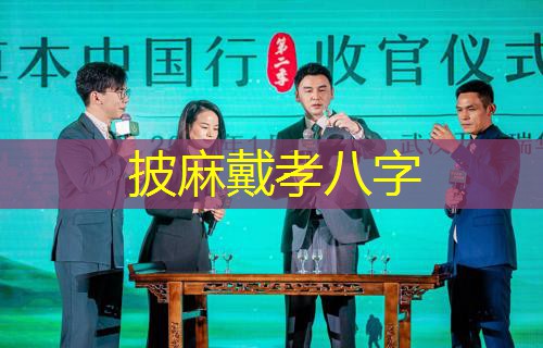  披麻戴孝八字
