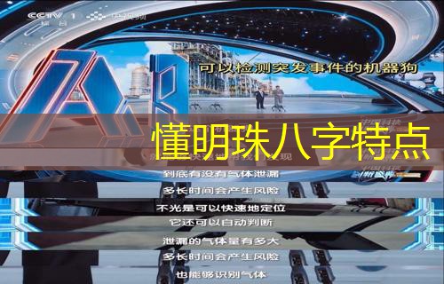 懂明珠八字特点